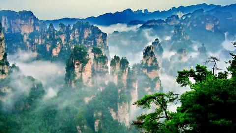 장가계+봉황고성  6일여행   (왕복비행/쇼핑 없음)