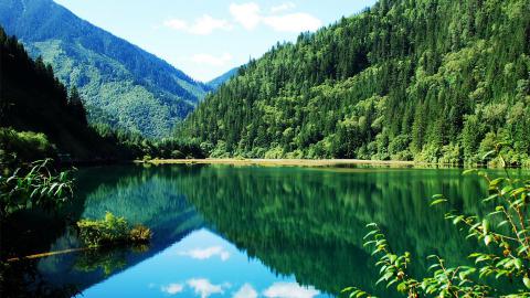 성도구채구어메산 8일여행