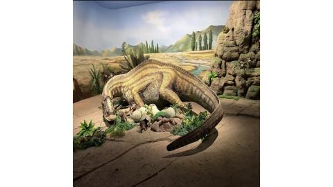 연길공룡박물관