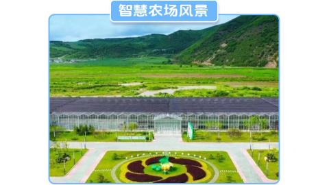 량전백세운동휴일관광지